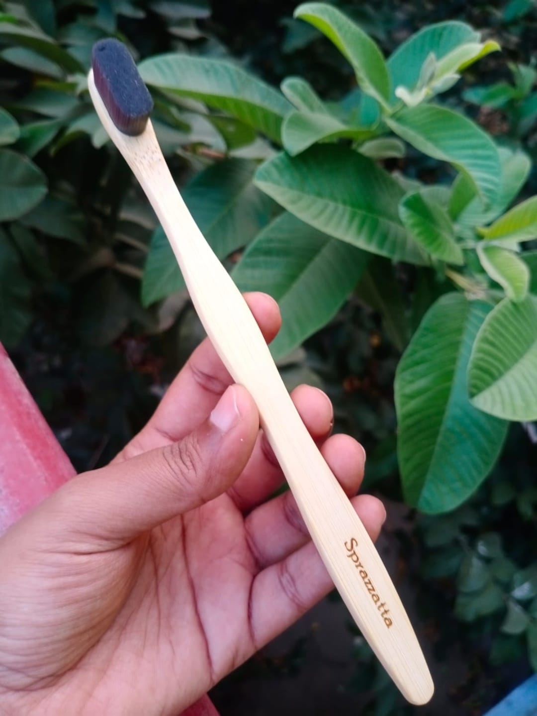 brush